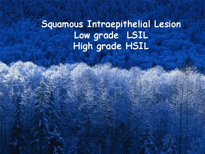 Squamous Intraepithelial Lesion Low grade LSIL High grade HSIL 