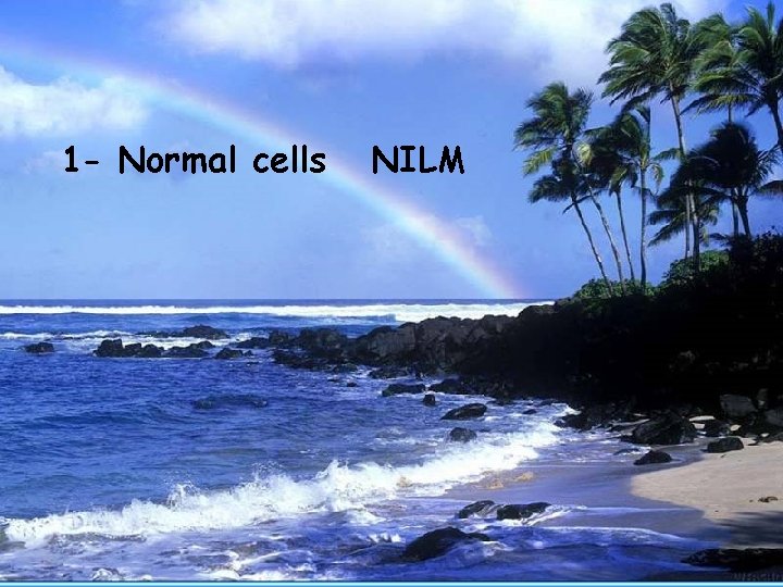 1 - Normal cells NILM 