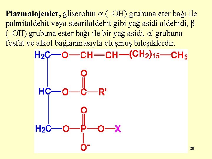 Plazmalojenler, gliserolün ( OH) grubuna eter bağı ile palmitaldehit veya stearilaldehit gibi yağ asidi