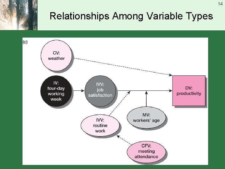 14 Relationships Among Variable Types 