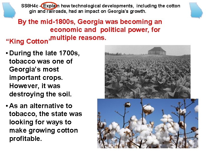 SS 8 H 4 c – Explain how technological developments, including the cotton gin