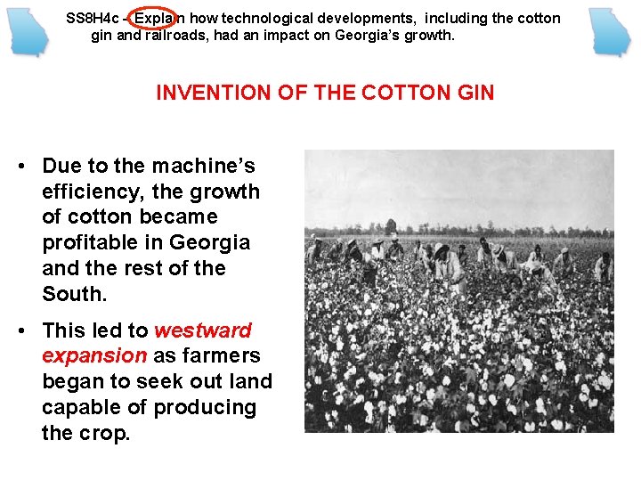 SS 8 H 4 c – Explain how technological developments, including the cotton gin