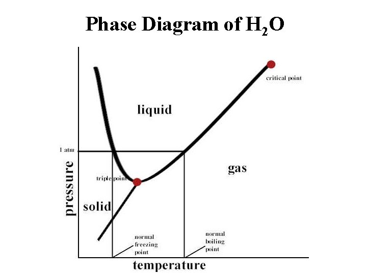 Phase Diagram of H 2 O 