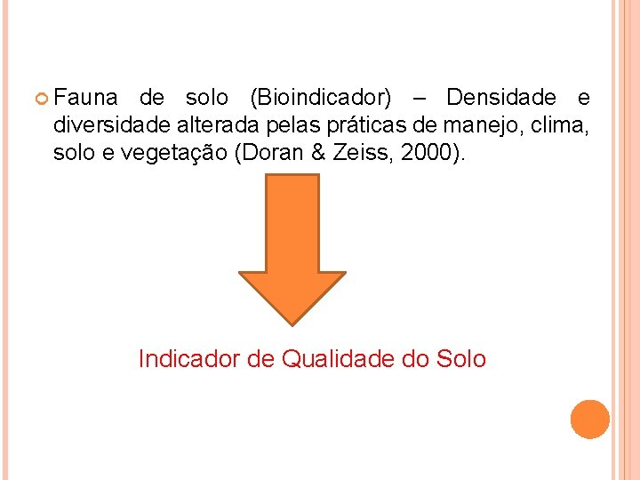  Fauna de solo (Bioindicador) – Densidade e diversidade alterada pelas práticas de manejo,