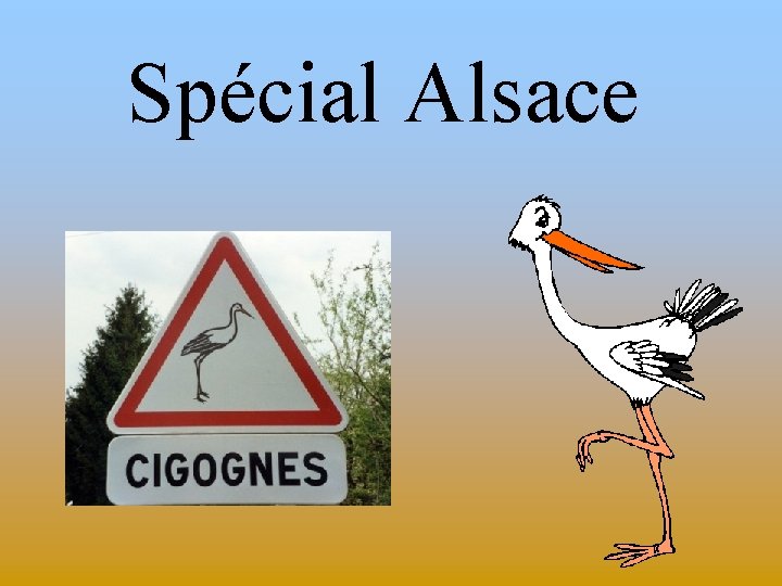 Spécial Alsace 
