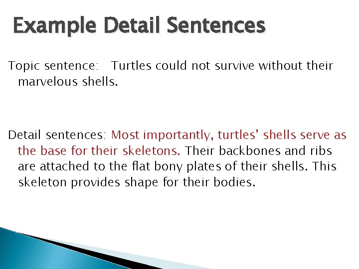 Example Detail Sentences Topic sentence: Turtles could not survive without their marvelous shells. Detail