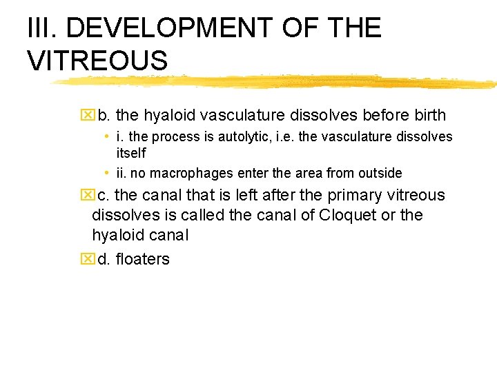 III. DEVELOPMENT OF THE VITREOUS xb. the hyaloid vasculature dissolves before birth • i.