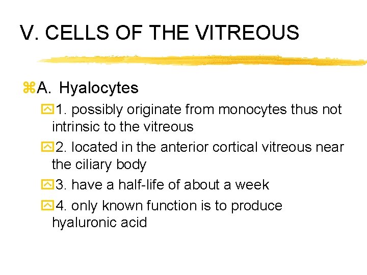 V. CELLS OF THE VITREOUS z. A. Hyalocytes y 1. possibly originate from monocytes