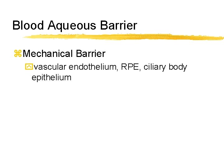 Blood Aqueous Barrier z. Mechanical Barrier yvascular endothelium, RPE, ciliary body epithelium 