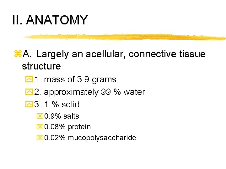 II. ANATOMY z. A. Largely an acellular, connective tissue structure y 1. mass of
