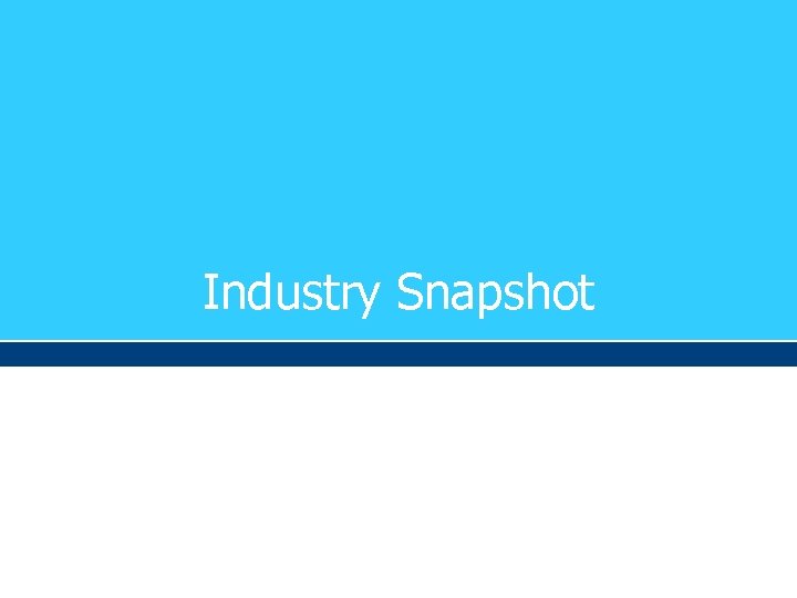 Industry Snapshot 