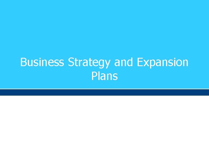 Business Strategy and Expansion Plans 