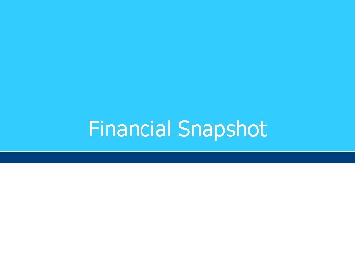 Financial Snapshot 