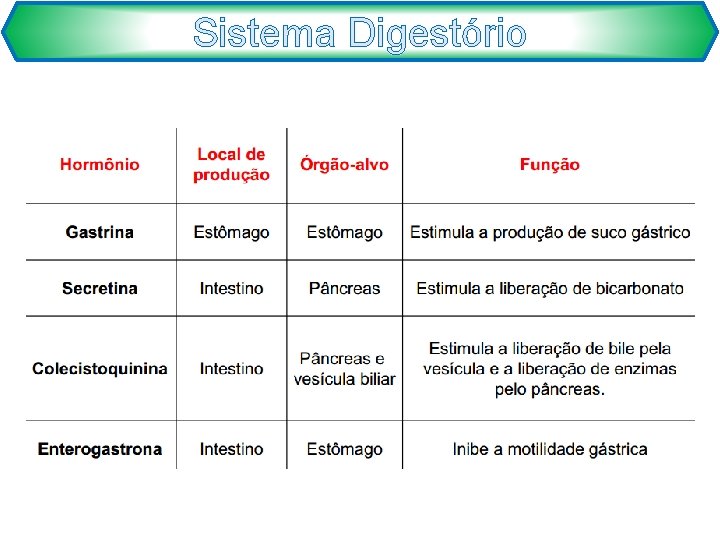 Sistema Digestório 