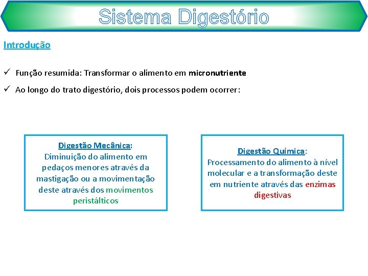 Sistema Digestório Introdução ü Função resumida: Transformar o alimento em micronutriente ü Ao longo