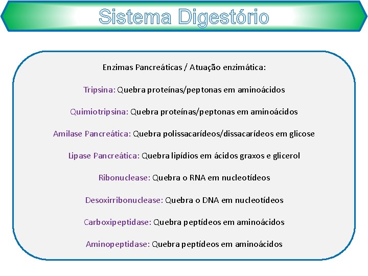 Sistema Digestório Enzimas Pancreáticas / Atuação enzimática: Tripsina: Quebra proteínas/peptonas em aminoácidos Quimiotripsina: Quebra