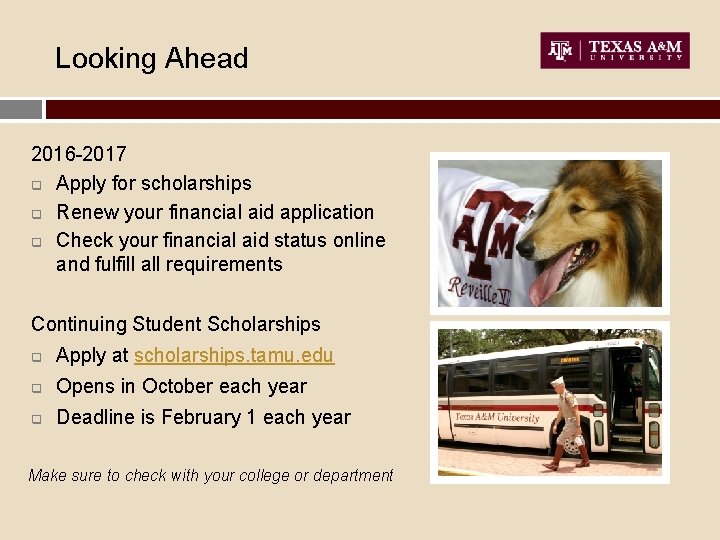 Looking Ahead 2016 -2017 q Apply for scholarships q Renew your financial aid application
