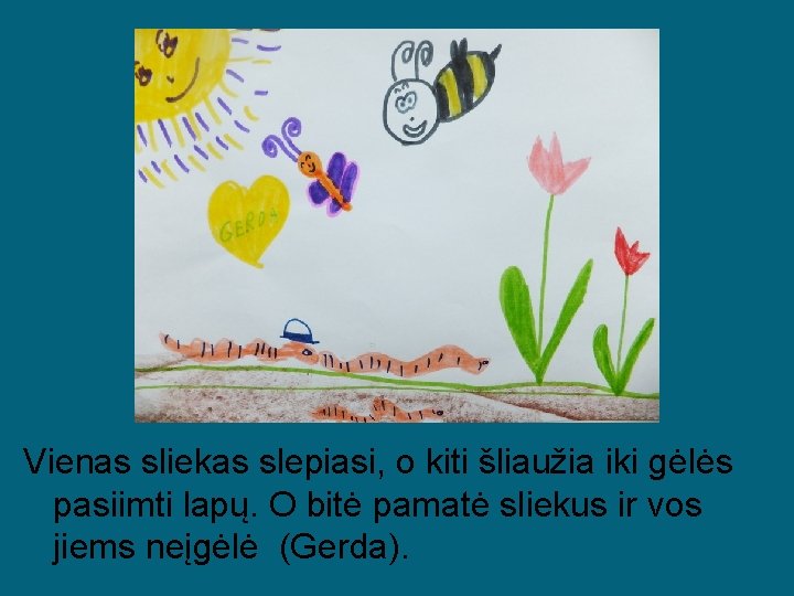 Vienas sliekas slepiasi, o kiti šliaužia iki gėlės pasiimti lapų. O bitė pamatė sliekus