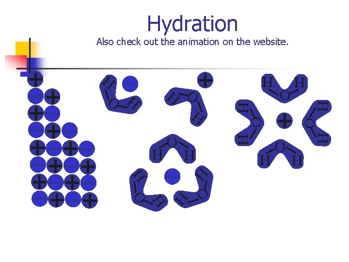 Hydration Also check out the animation on the website. H O H O H