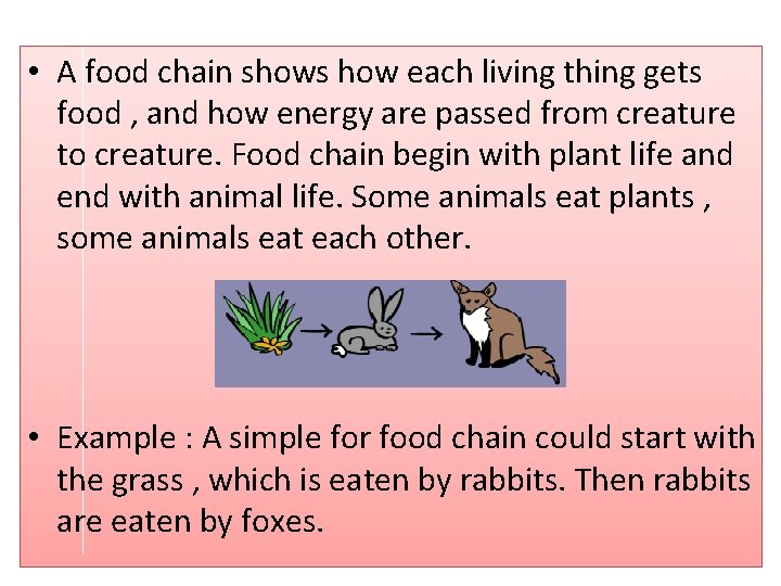  • A food chain shows how each living thing gets food , and