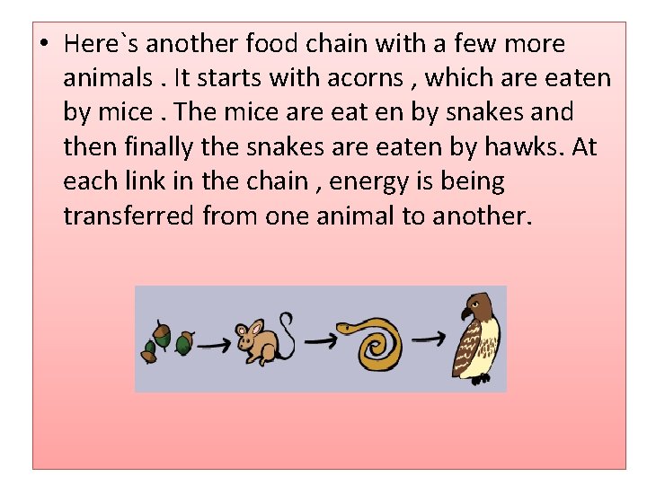  • Here`s another food chain with a few more animals. It starts with