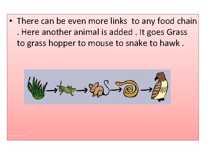  • There can be even more links to any food chain. Here another