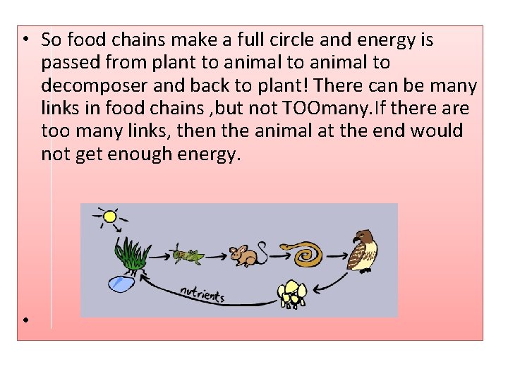  • So food chains make a full circle and energy is passed from