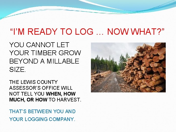 “I’M READY TO LOG … NOW WHAT? ” YOU CANNOT LET YOUR TIMBER GROW