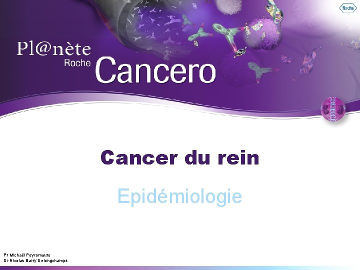 Cancer du rein Epidémiologie Pr Michaël Peyromaure Dr Nicolas Barry Delongchamps 1 