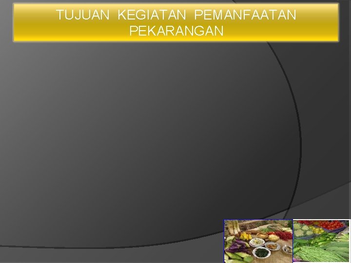 TUJUAN KEGIATAN PEMANFAATAN PEKARANGAN 13 