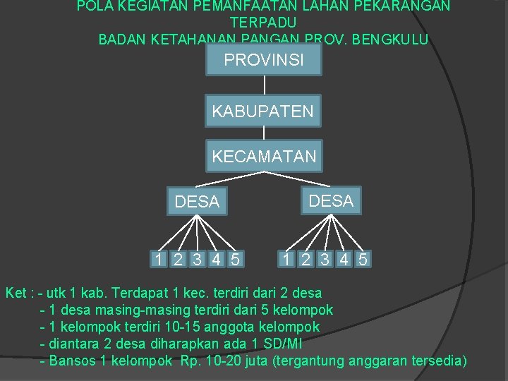 POLA KEGIATAN PEMANFAATAN LAHAN PEKARANGAN TERPADU BADAN KETAHANAN PANGAN PROV. BENGKULU PROVINSI KABUPATEN KECAMATAN