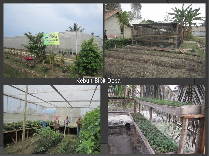 Kebun Bibit Desa 