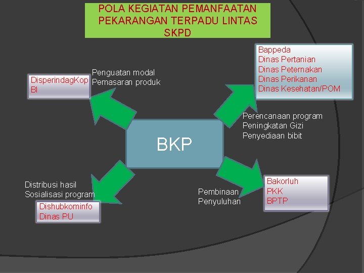 POLA KEGIATAN PEMANFAATAN PEKARANGAN TERPADU LINTAS SKPD Bappeda Dinas Pertanian Dinas Peternakan Dinas Perikanan