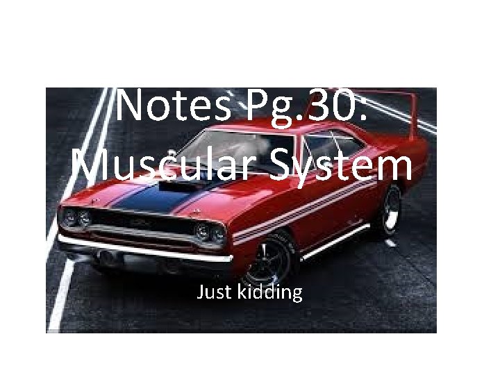 Notes Pg. 30: Muscular System Just kidding 