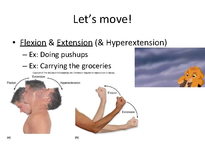 Let’s move! • Flexion & Extension (& Hyperextension) – Ex: Doing pushups – Ex: