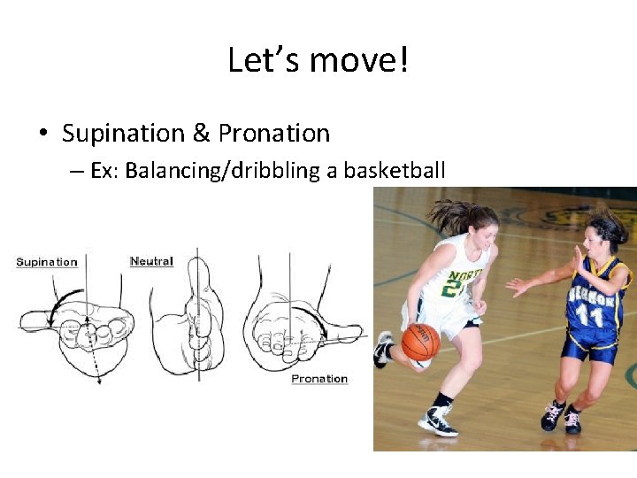 Let’s move! • Supination & Pronation – Ex: Balancing/dribbling a basketball 