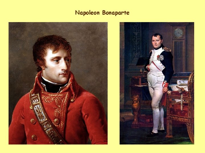 Napoleon Bonaparte 3 