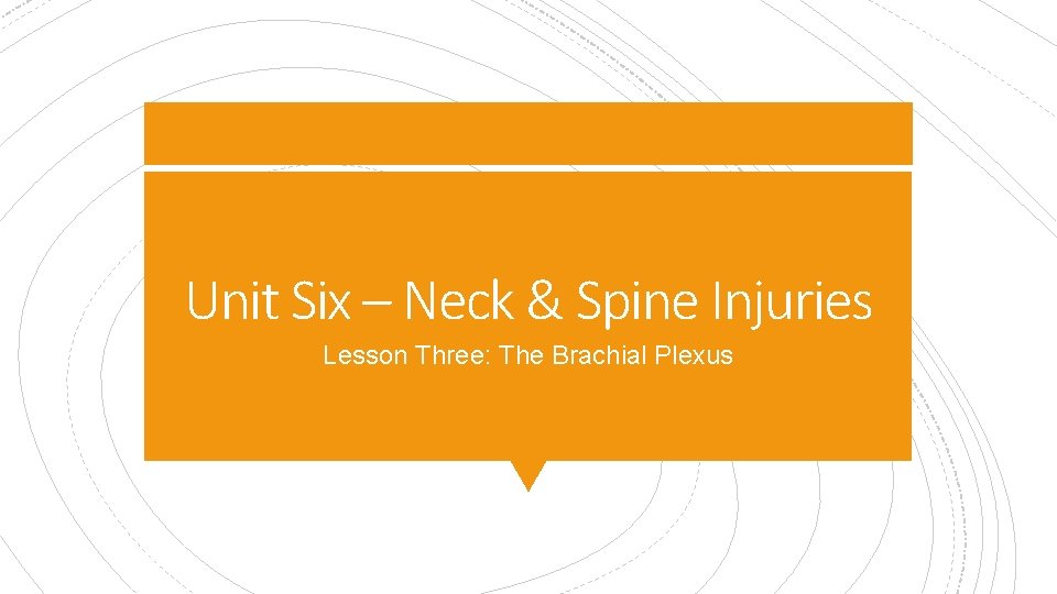 Unit Six – Neck & Spine Injuries Lesson Three: The Brachial Plexus 