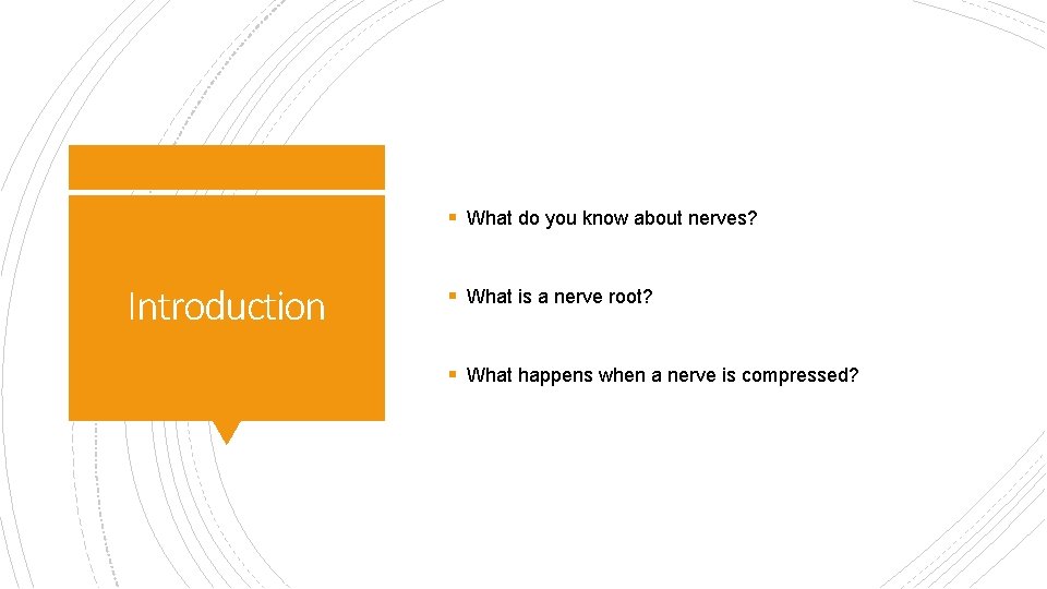 § What do you know about nerves? Introduction § What is a nerve root?