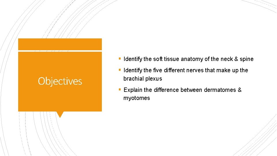 § Identify the soft tissue anatomy of the neck & spine § Identify the