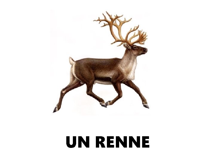 Photomime Listes Imprimer Si On Nutilise Pas Dordinateur