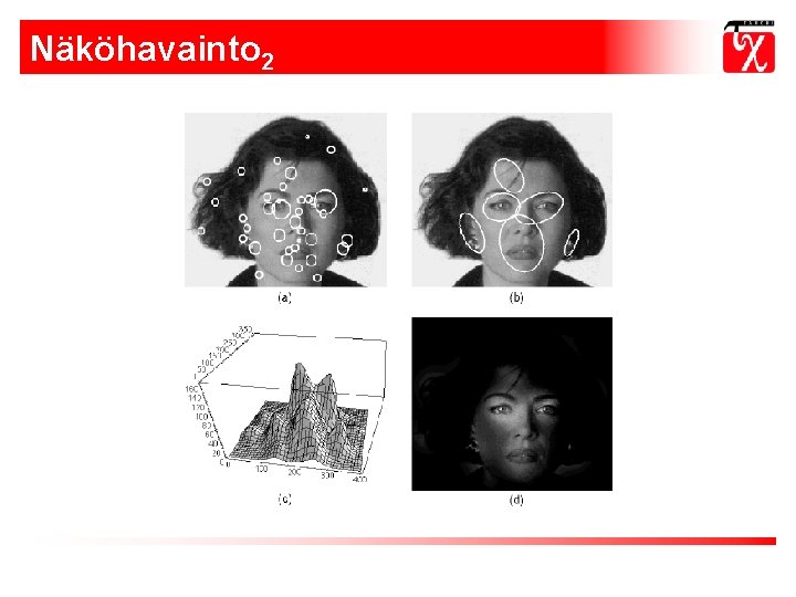 Näköhavainto 2 Näköhavainto 2