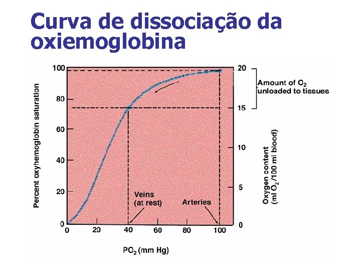Curva de dissociação da oxiemoglobina 