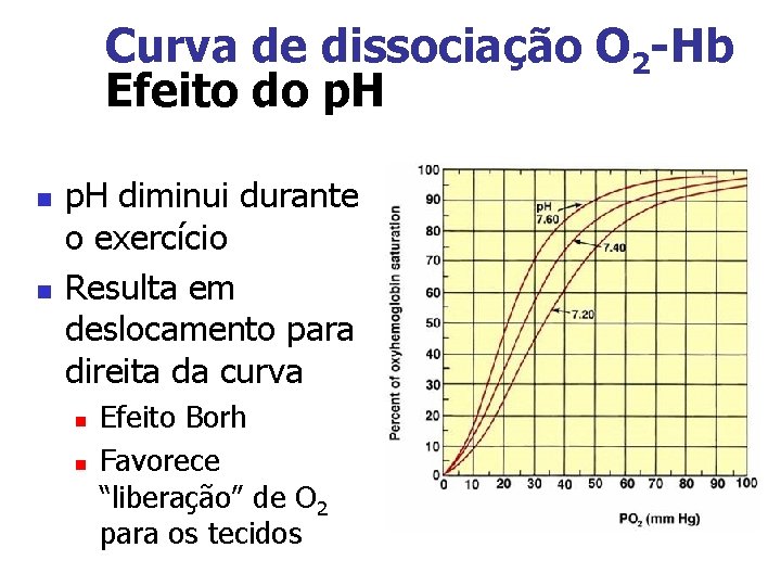 Curva de dissociação O 2 -Hb Efeito do p. H n n p. H