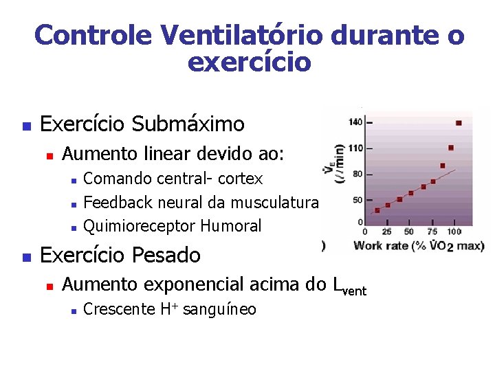 Controle Ventilatório durante o exercício n Exercício Submáximo n Aumento linear devido ao: n