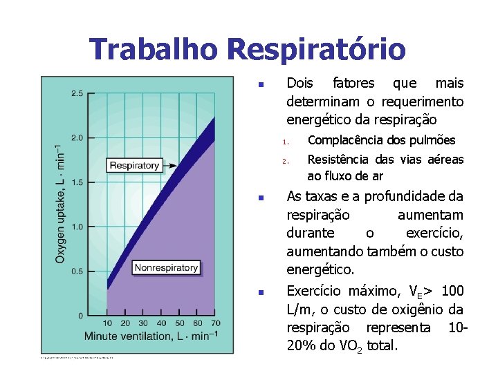 Trabalho Respiratório n Dois fatores que mais determinam o requerimento energético da respiração 1.