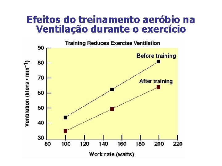 Efeitos do treinamento aeróbio na Ventilação durante o exercício 