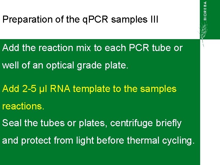 Preparation of the q. PCR samples III Add the reaction mix to each PCR