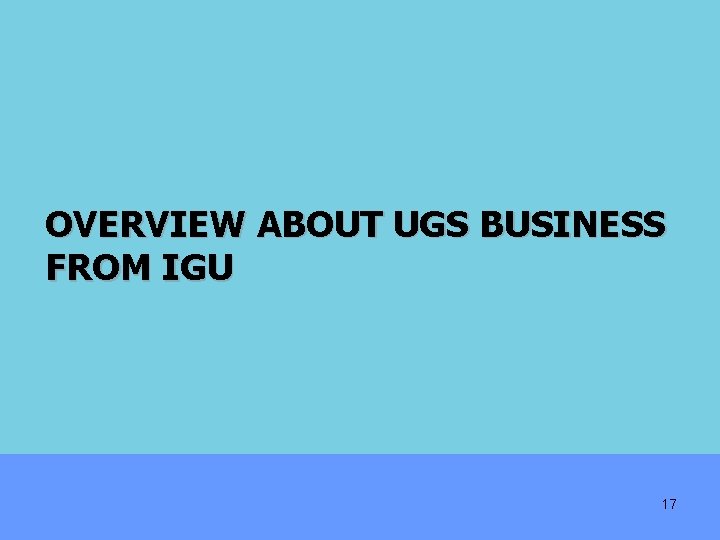 OVERVIEW ABOUT UGS BUSINESS FROM IGU 17 