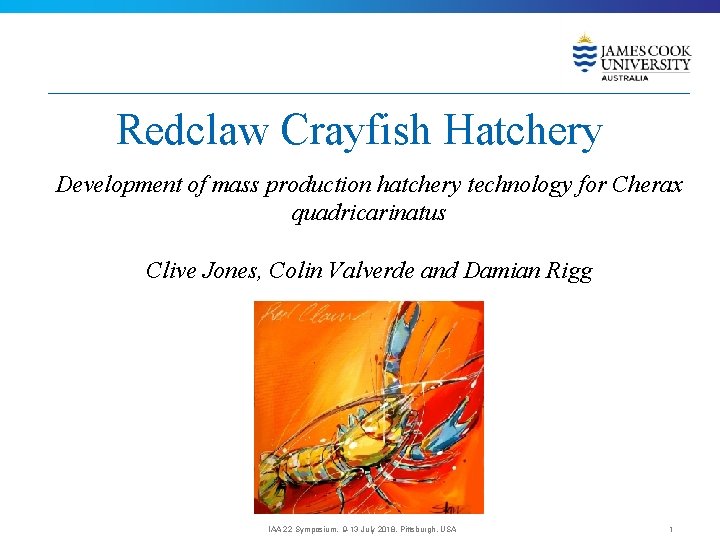 Redclaw Crayfish Hatchery Development of mass production hatchery technology for Cherax quadricarinatus Clive Jones,